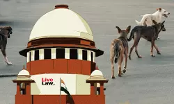Stray Dogs Case: PETA, Animal Welfare Groups Urge Supreme Court To Permit Release Of Dogs At Place Of Capture Stray Dogs Case: PETA, Animal Welfare Groups Urge Supreme Court To Permit Release Of Dogs At Place Of Capture
