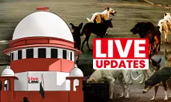 Stray Dogs Case : Live Updates From Supreme Court Hearing [Day 2]