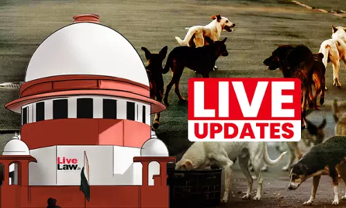 Stray Dog Case Order : Live Updates From Supreme Court