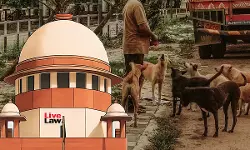 Dogs Dont Have Absolute Right To Occupy Institutional Premises; ABC Rules Dont Mandate Their Release At Such Premises : Supreme Court Dogs Dont Have Absolute Right To Occupy Institutional Premises; ABC Rules Dont Mandate Their Release At Such Premises : Supreme Court