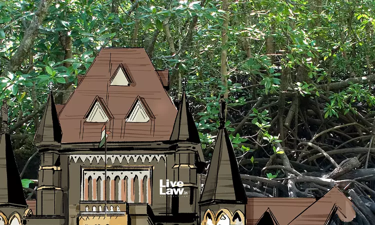 Will Bring Respite To Mumbaikars: Bombay High Court Permits Cutting Of 1,237 Mangroves For Connector Bridge In Western Suburbs