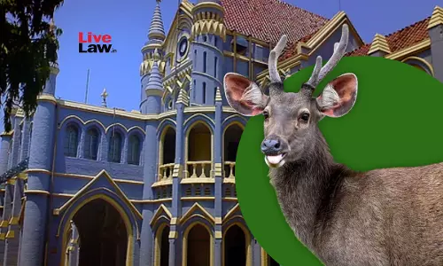 MP High Court Grants Bail To Man Accused Of Eating Sambar Deer, Says No Link Between Him & Meat Recovered From Spot