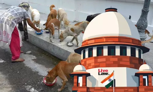 Supreme Court Asks Women Dog Feeders Alleging Harassment And Assault By Vigilantes To Lodge FIRs, Approach High Courts
