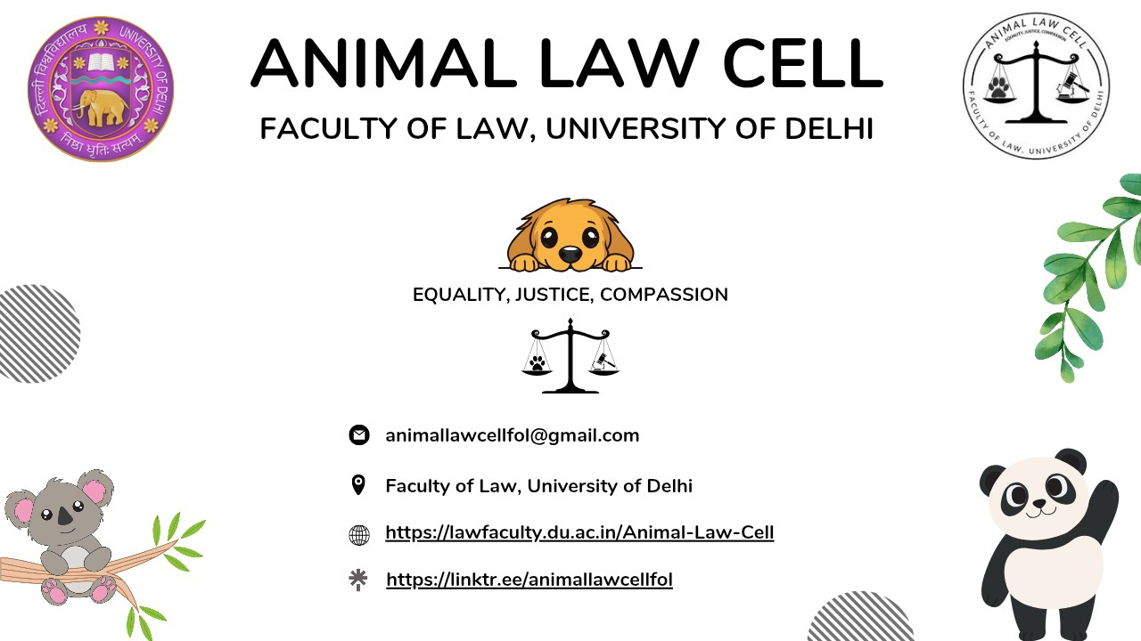 DU Law’s Animal Law Cell Submits Before Supreme Court On Stray Dog Relocation, Urges Implementation Of…