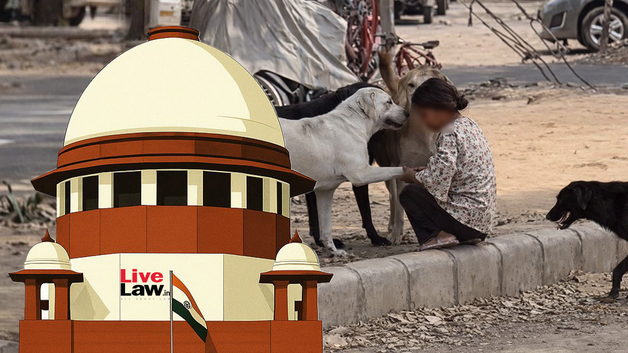 Stray Dogs Protect Orphan Children On Streets, Make One Feel Safe: Advocate Tells Supreme Court