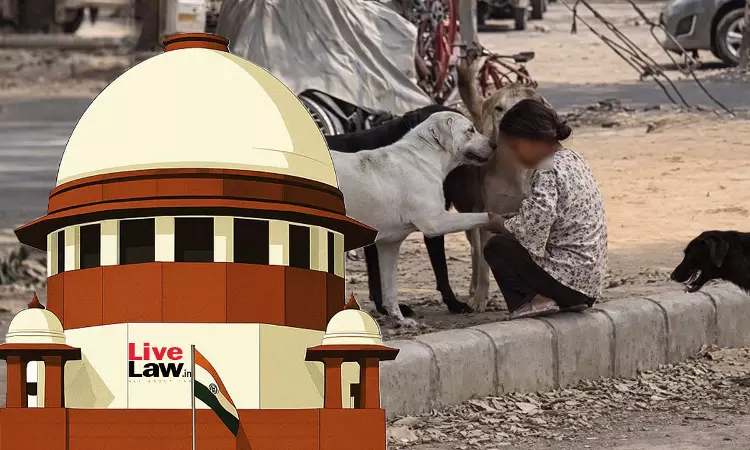 Stray Dogs Protect Orphan Children On Streets, Make One Feel Safe: Advocate Tells Supreme Court