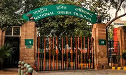 National Green Tribunal Orders Action In Dwarka Omaxe Project Case