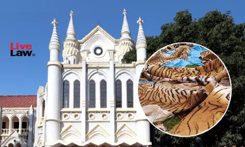 54 Tiger Deaths In 2025: Madhya Pradesh High Court Issues Notice On PIL Seeking Directions To Prevent Poaching