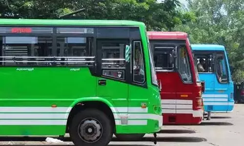 Delhi High Court Upholds ₹11 Lakh Penalty On School Bus Operator For Parking Buses On Environmentally Sensitive Yamuna Floodplains