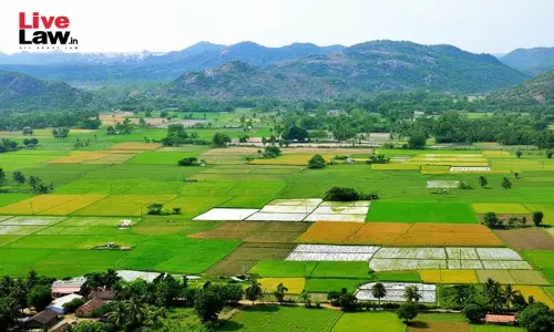 Preliminary And Final Decree In Partition Of Agricultural Land