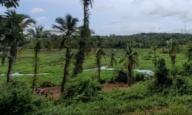 Kerala High Court Bars New Construction In Kottooli Wetlands Pending Ramsar Designation