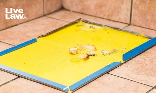 Animal Cruelty: Gujarat High Court Seeks Status Of Proposed State Amendment Banning Glue Traps To Catch Rodents