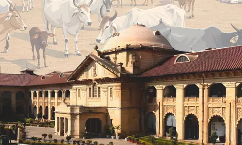 Allahabad High Court, Cow Slaughter, National Security Act, NSA Detention, Public Order vs Law and Order, Justice JJ Munir, Justice Sanjiv Kumar, Habeas Corpus, UP Prevention of Cow Slaughter Act, Legal News India, Preventive Detention,