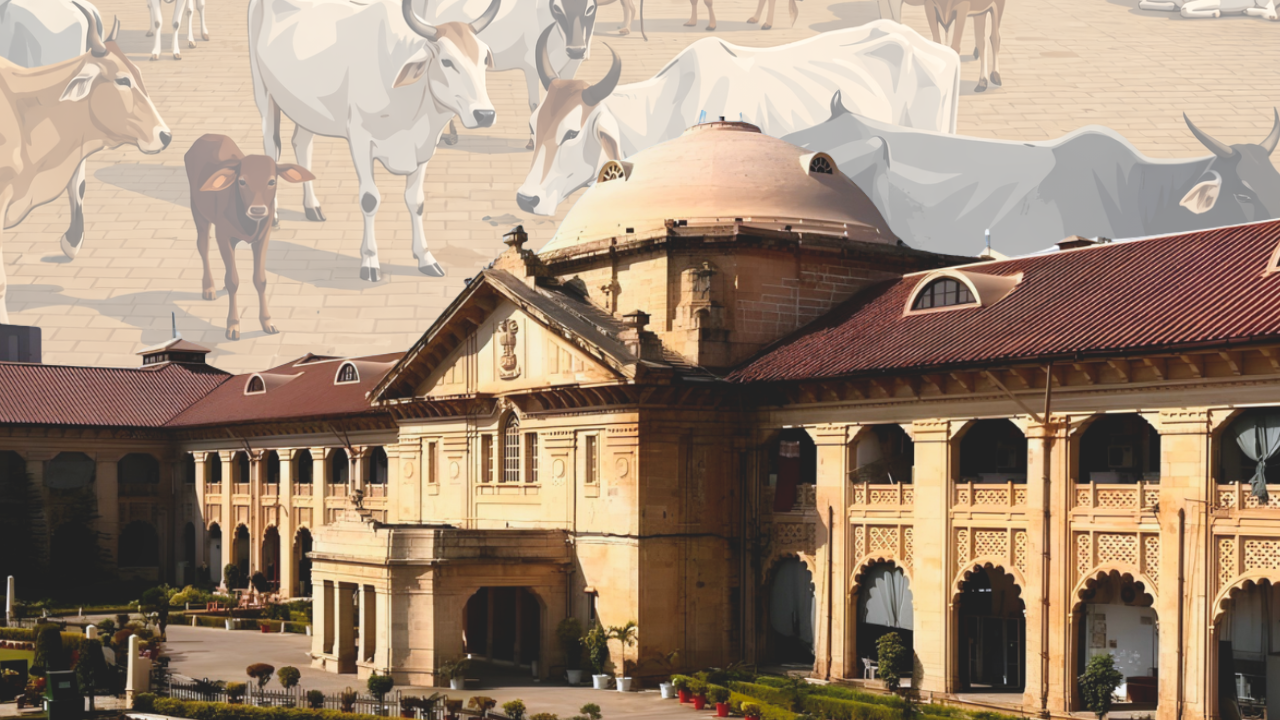 Allahabad HC Orders UP Govt To Pay ₹2 Lakh For Seizure & Hasty Auction Of Vehicle Over Unproven Cattle…