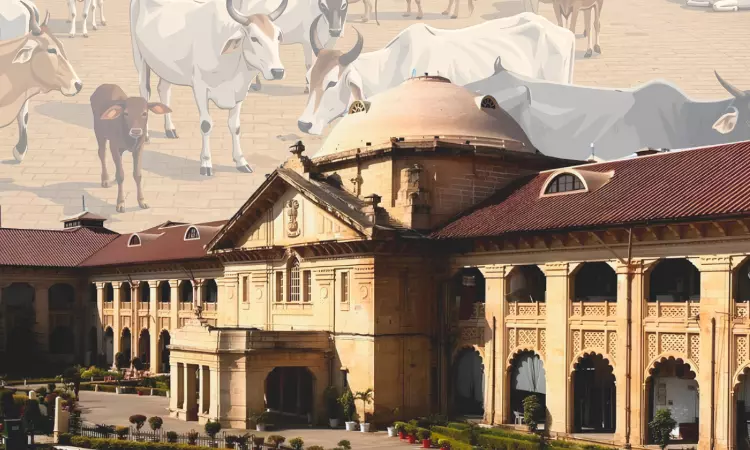Cow Slaughter Disturbs Even Tempo Of Life, Spontaneously Evokes Violent Reactions: Allahabad High Court Upholds NSA Detention