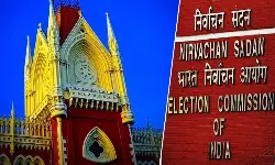 WB Polls | Calcutta High Court Questions Need For ECI Order To Arrest Troublemakers When Law Already Covers Offences, Reserves Verdict