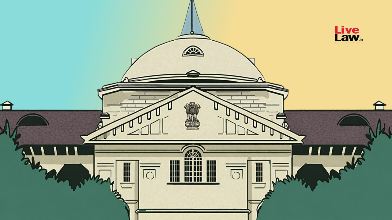 Magistrates, Cops Personally Liable To Compensate For Illegal Preventive Detention : Allahabad High Court Issues Guidelines
