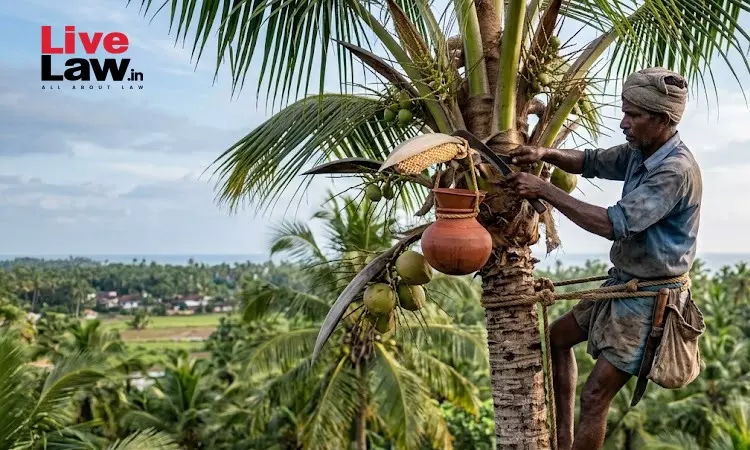 Delay In Filing Insurance Claim Cant Defeat Genuine Compensation: Kerala High Court Upholds ₹7.5 Lakh Award To Disabled Toddy Tapper