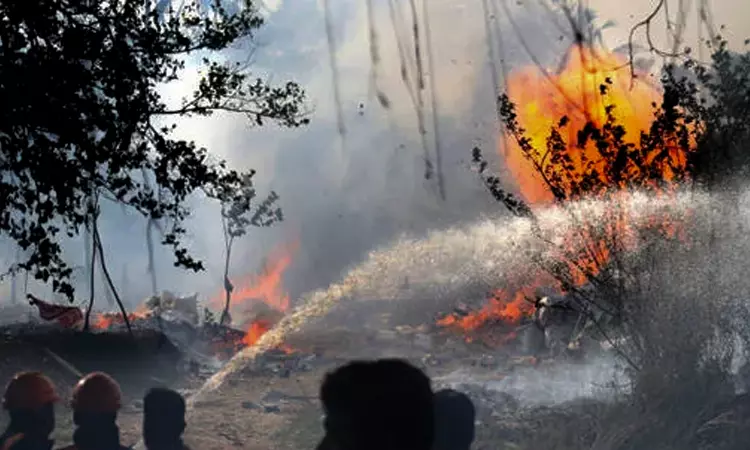 Compensation Paid To Injured, Family Members Of Victims Of Mundathikode Fireworks Accident: State Tells Kerala High Court Compensation Paid To Injured, Family Members Of Victims Of Mundathikode Fireworks Accident: State Tells Kerala High Court