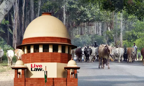 Tamil Nadu Govt Moves Supreme Court Against Madras High Court Order Banning Cow Slaughter