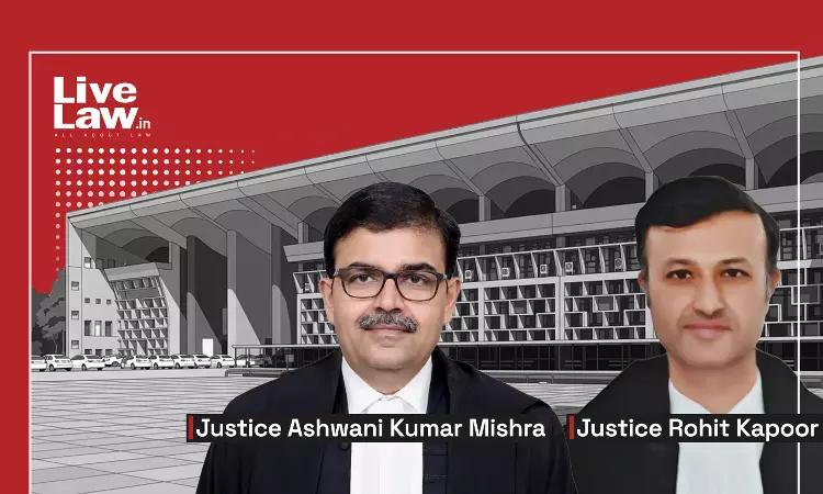 Right To Walk On Footpaths Is Fundamental: P&H High Court Directs Ludhiana Civic Body To Examine Encroachment Allegations Right To Walk On Footpaths Is Fundamental: P&H High Court Directs Ludhiana Civic Body To Examine Encroachment Allegations