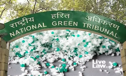 Microbeads: Micro Issue For Indian Legislators