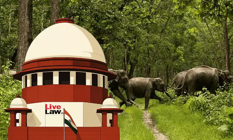 Supreme Court Affirms Ban On Commercial Activity In Segur Plateau Elephant Corridor Supreme Court Affirms Ban On Commercial Activity In Segur Plateau Elephant Corridor