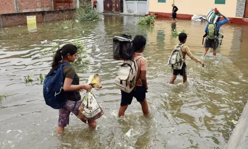 Prayagraj Waterlogging | Allahabad High Court Orders Deployment Of Pumps In Affected Areas, Gives 24-Hour Deadline To Clear Water