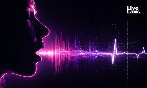 Voice Samples And Article 20(3): Where Does Forensic Identification End And Self-Incrimination Begin?