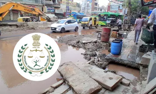 NGT Seeks Delhi Govt Response On Lawyers Plea Over Deteriorating Road Infrastructure In Burari