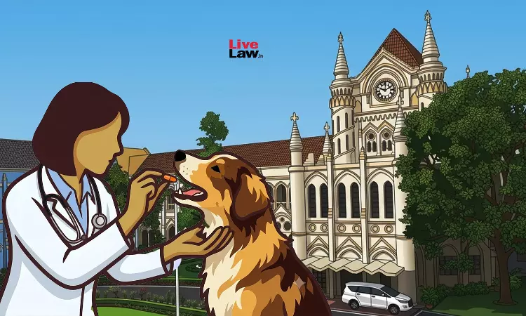 Veterinarians Treat Voiceless, Cant Discount Their Services: MP High Court Upholds Time-Scale Pay Parity With Medical/ Dental Surgeons