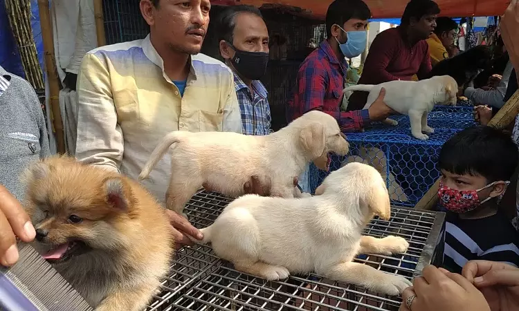 Calcutta High Court Directs Police, Customs To Stop Unauthorised Sale Of Pets At North Kolkatas Galiff Street