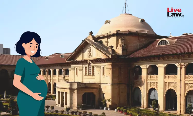 Played With Her Life: Allahabad High Court Orders Inquiry Into C-Section Performed On Rape Survivor Despite Termination Order Played With Her Life: Allahabad High Court Orders Inquiry Into C-Section Performed On Rape Survivor Despite Termination Order