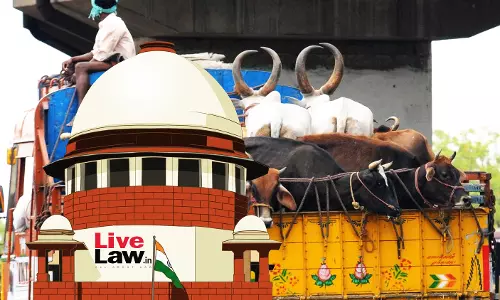 Cattle Transport Cant Be Presumed To Be For Slaughter Due To Mere Absence Of Documents : Supreme Court