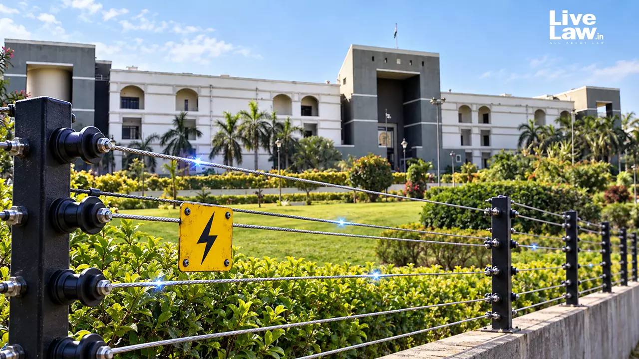 Gujarat High Court Upholds Acquittal in Electric‑Fence Death Case