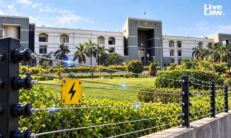 Gujarat High Court Upholds Acquittal Of Two Accused Of Setting Electric Fence That Killed 11-Year-Old