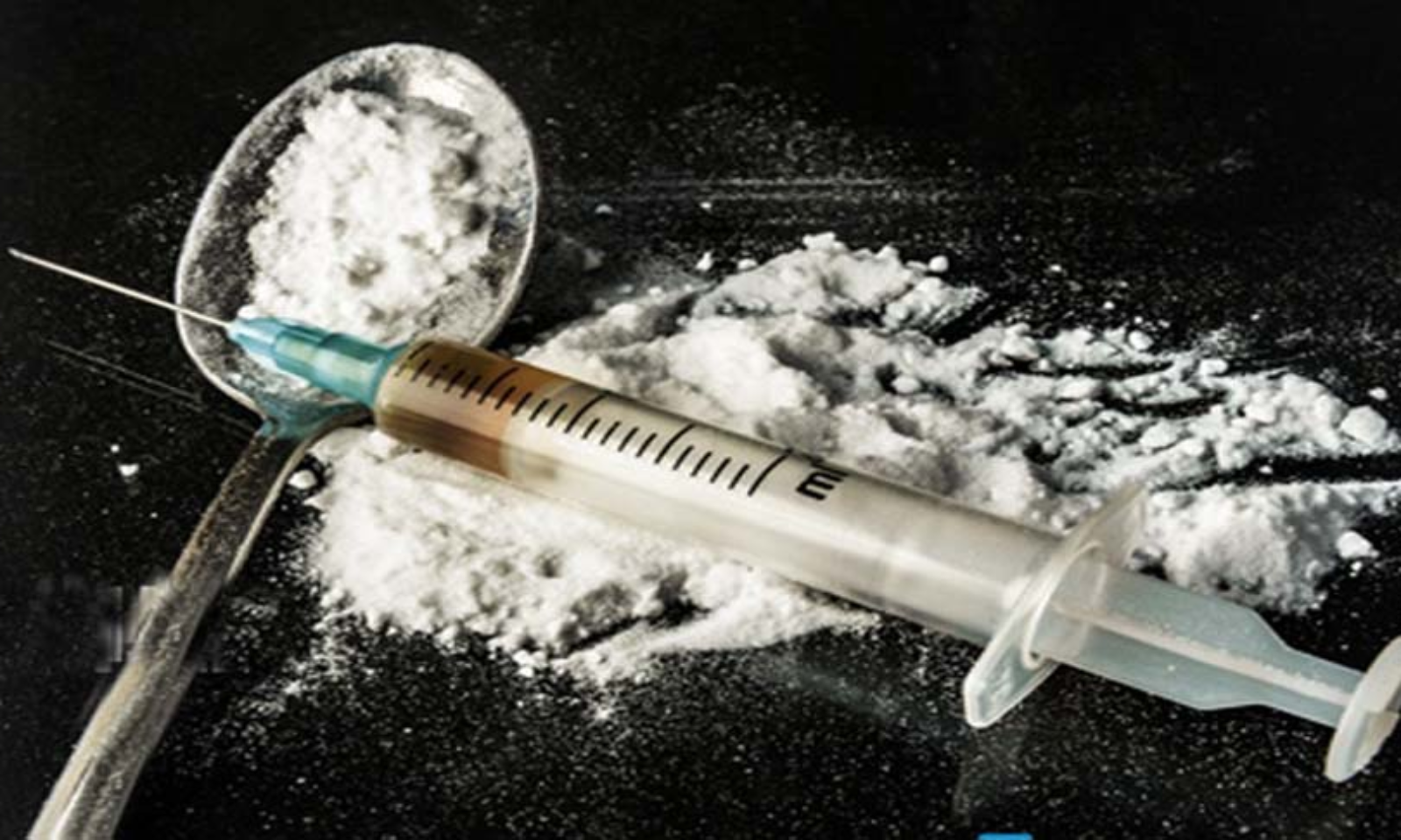 Madras HC Take Suo Motu Cognizance on Drug Peddling and Abuse In The State