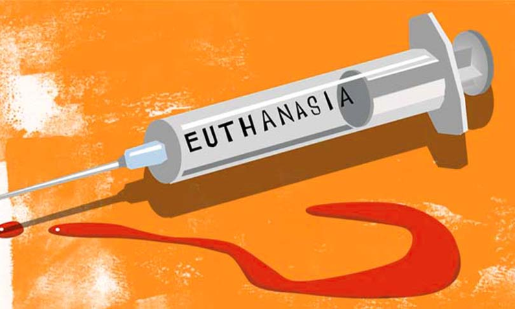 Freedom To Die: A Look At Active Euthanasias Position In The Indian Legal System