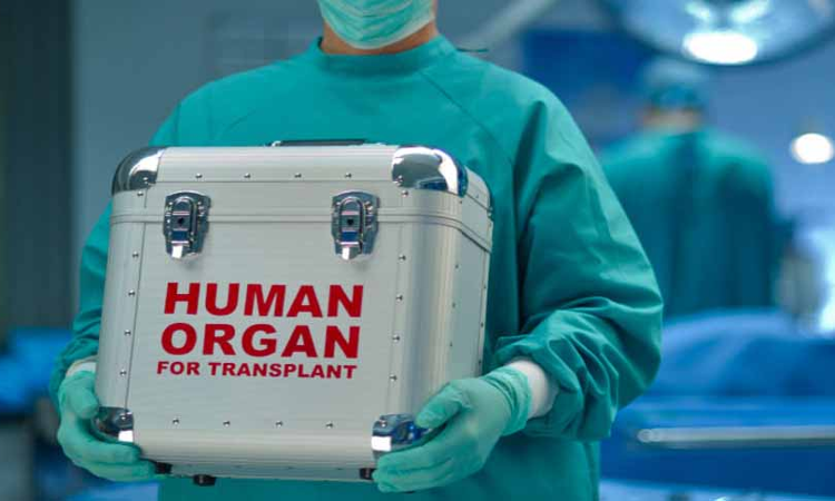 Punjab Human Organ Transplantation Authority on X: According to Islamic  teachings, organ donation is a very good deed and can be done even after  the donatee has passed away after proper undertaking