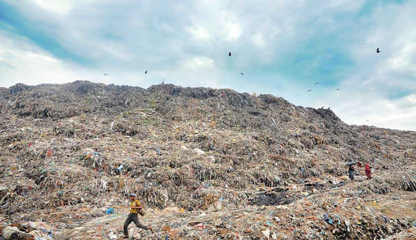 Ghazipur Landfill Fire Incidents: Delhi High Court Expresses Concern Over Air Pollution, Seeks Action Taken Report
