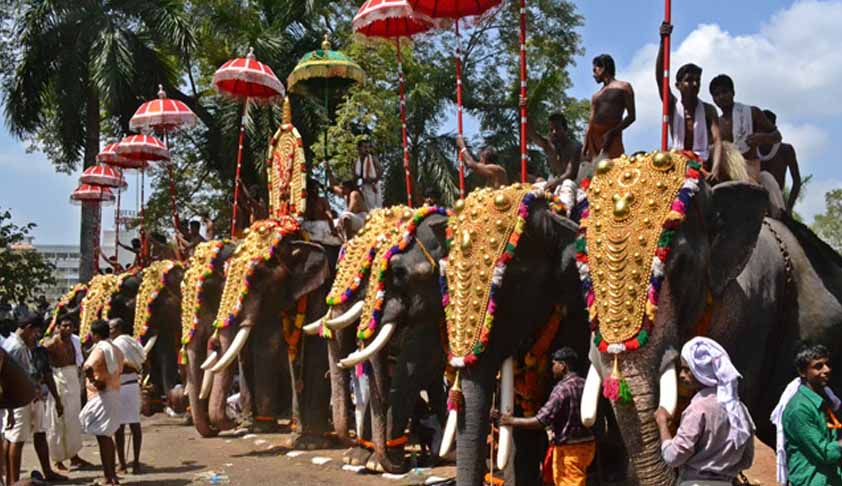 May Consider A Complete Prohibition On Elephants Being Kept As Captive Animals For Various Temple Duties: Madras High Court
