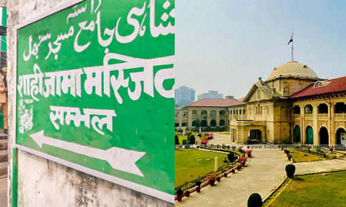Allahabad HC Directs ASI To Undertake Whitewashing Of Sambhals Jama Mosque Within 1 Week; Masjid Committee To Bear Costs