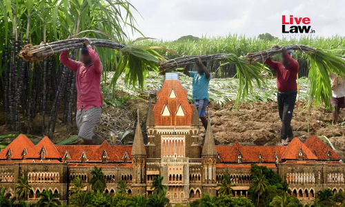 Farmers Cannot Be Made Debt-Ridden: Bombay High Court Quashes State Resolution Providing Delayed & Less Fair Price To Sugarcane Farmers