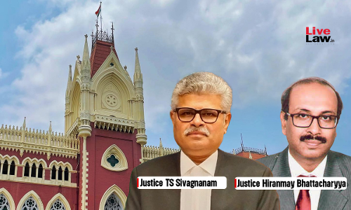 Service Tax Liability Cannot Be Fastened On Implementation Of Govt Projects: Calcutta High Court