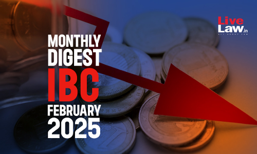 IBC Monthly Digest [February 2025]
