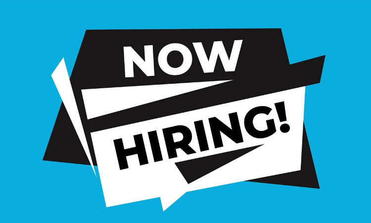 Member And Chairperson Vacancy At National Financial Reporting Authority