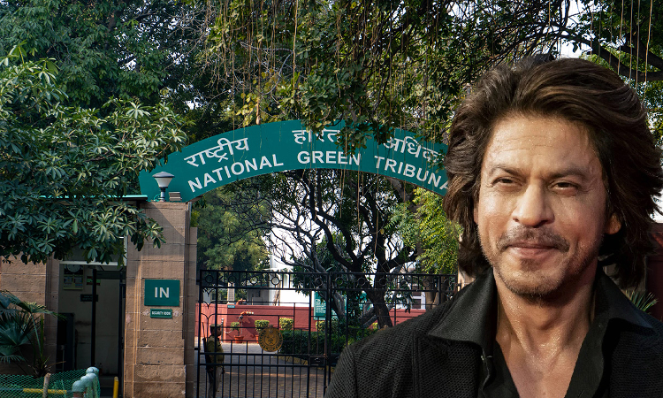 NGT Asks Activist To Submit Evidence On Alleged Environmental Violation In Renovating Shahrukh Khans Residence Mannat