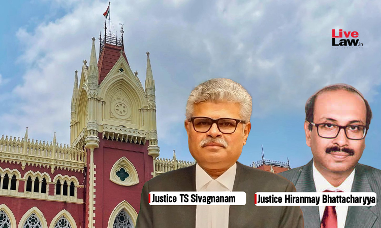 Service Tax Liability Cannot Be Fastened On Implementation Of Govt Projects: Calcutta High Court