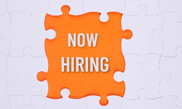 Senior Executive Vacancy At National Pension System Trust (NPS Trust/Trust)